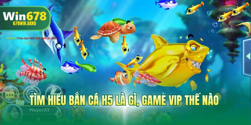 Tìm hiểu bắn cá H5 là gì, game VIP thế nào 